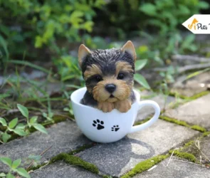 Yorkshire Tea Cups