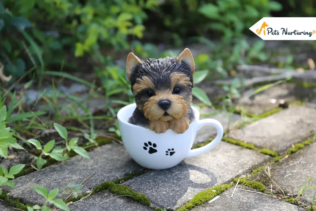 Yorkshire Tea Cups
