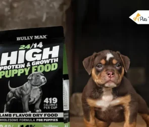 Bully Max Dog Foods