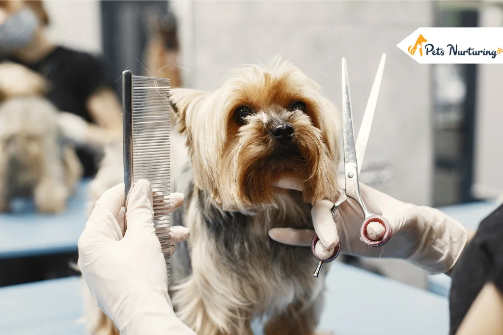 Goldendoodle Haircuts