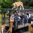 Lehe Ledu Wildlife Zoo