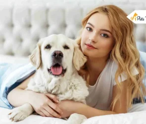 Pet Parents Guides