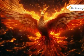 real phoenix birds