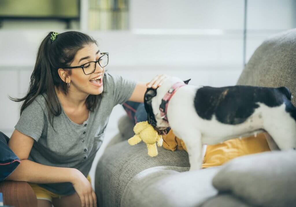 Look for Sitter for Your Dog 