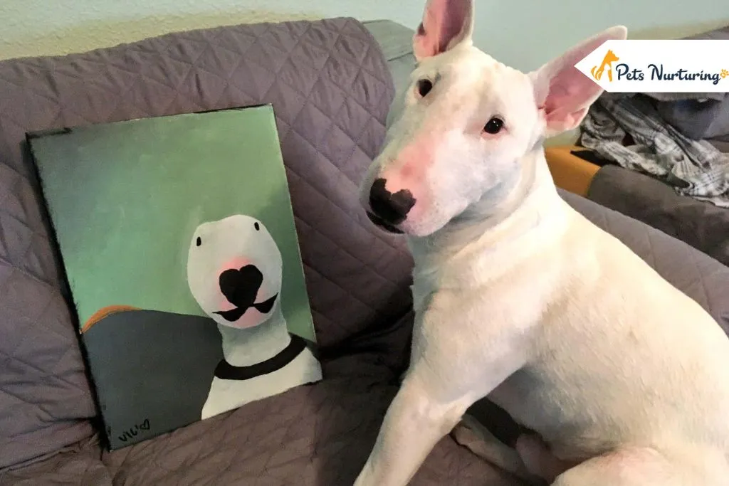 Walter the Dog