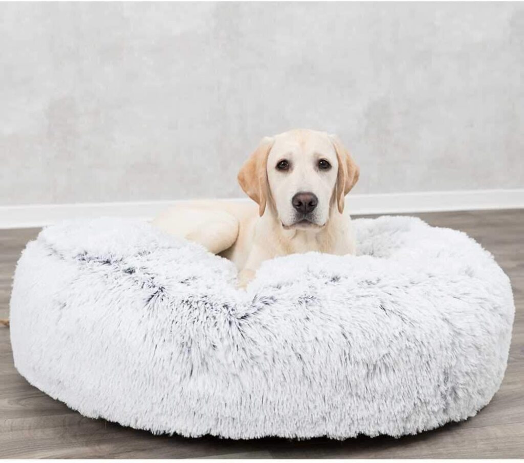 Calming Beds for Anxious Dogs