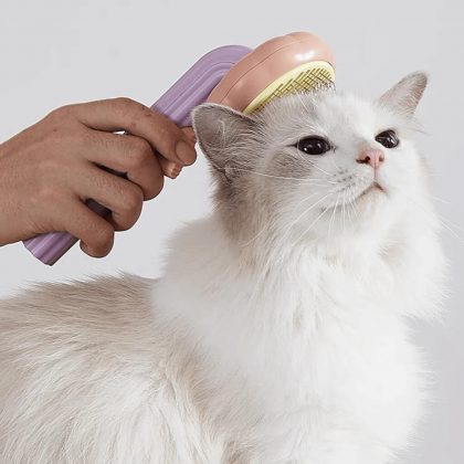 Image showcasing Groom Your Cat Like a Pro: Essential Tips
