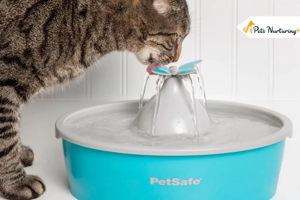 Smart Fountain