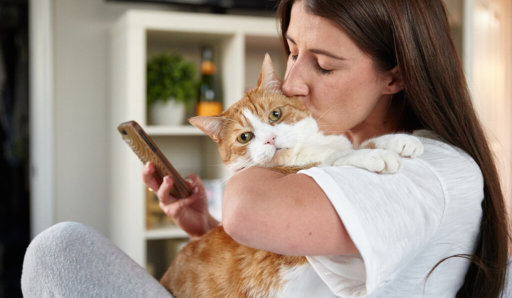 Pet Health and Wellness