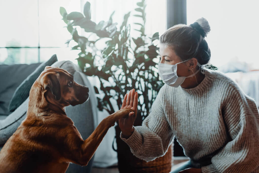 Diverse Business Opportunities pf Pet-Centric Entrepreneurship