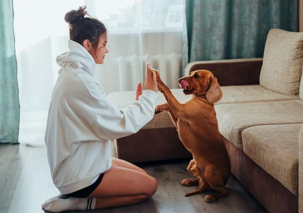 Positive Emotional Impact with Pet