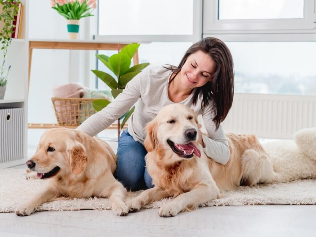 A woman sitting on the floor with two dogs
