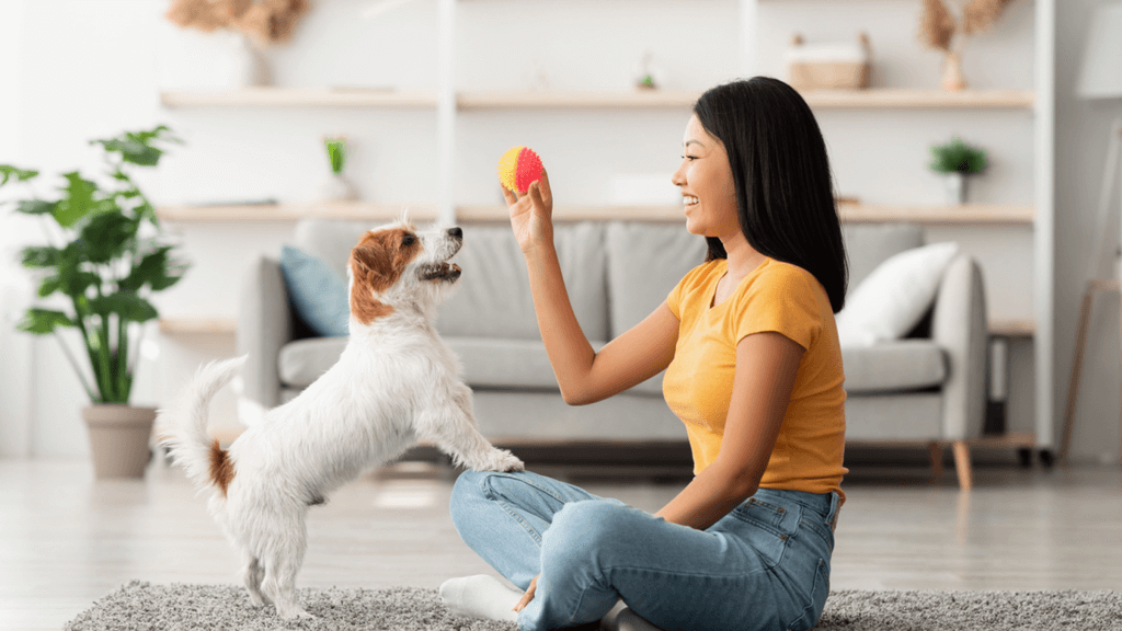 Pick the Right Trainer for Your Dog