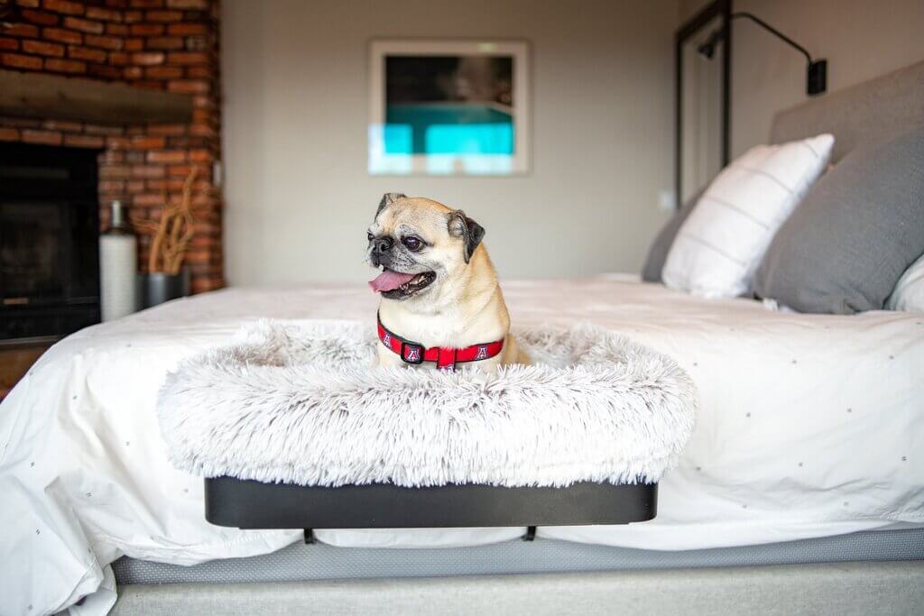 A Luxury Personal Space for dog