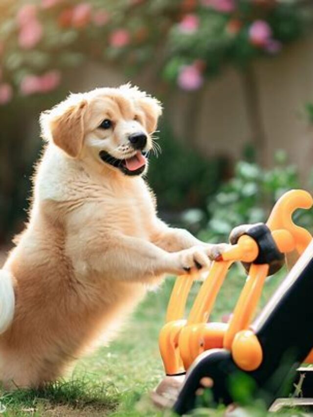 Possible Causes: why Is My Dog Panting So Much
