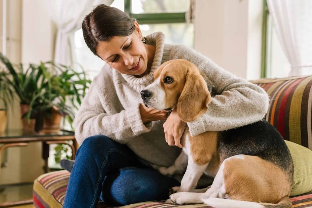 What Are the Benefits of an Emotional Support Dog?