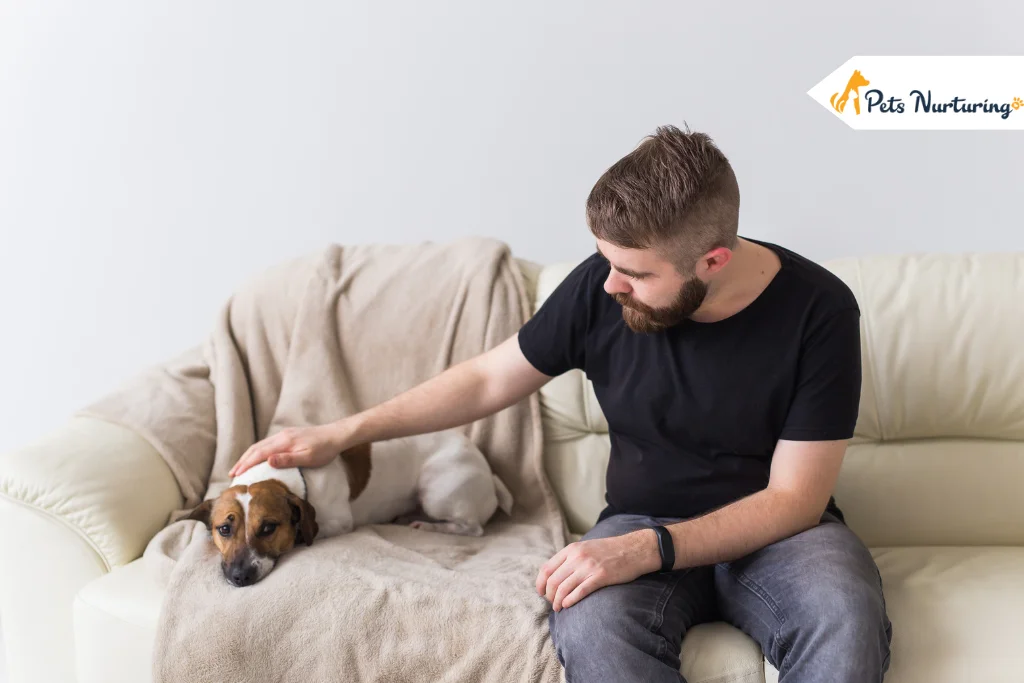 What Can You Give a Dog for Pain Relief at Home