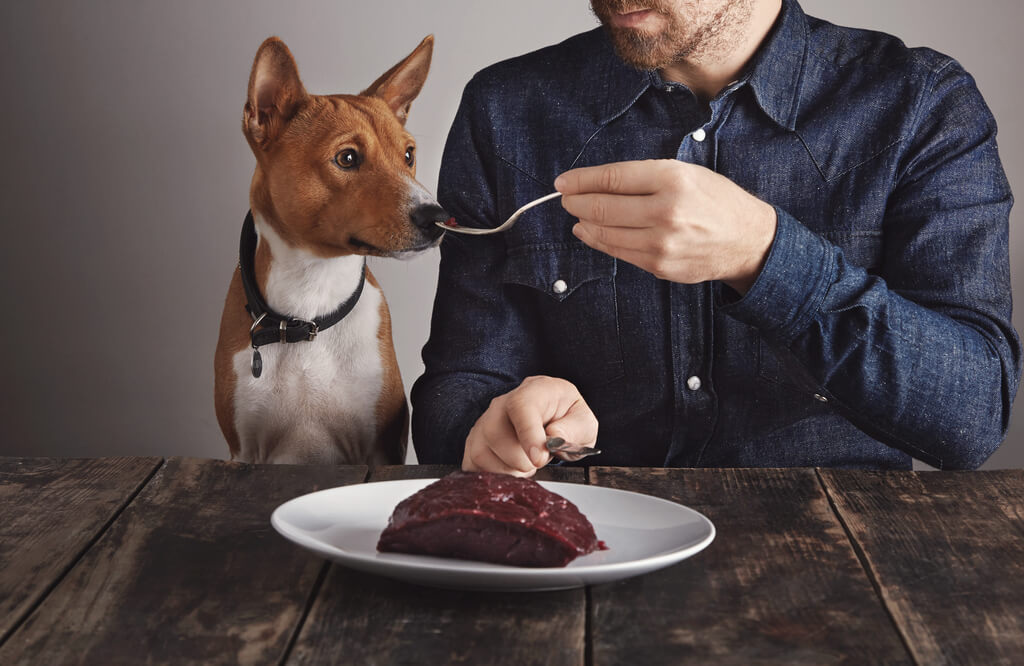 Role of Carbohydrates in Dog Food