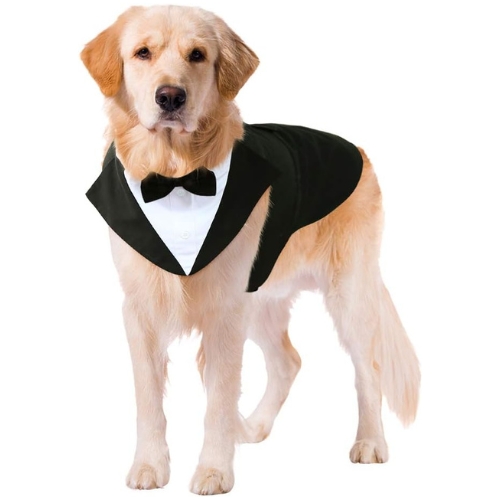 Dog Tuxedo Suit and Bandana Costume Set