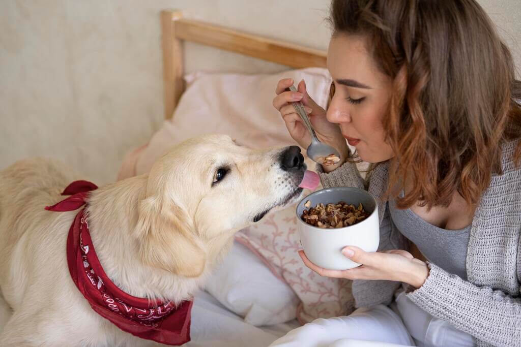 Commercial Vs. Homemade Treats for Dogs