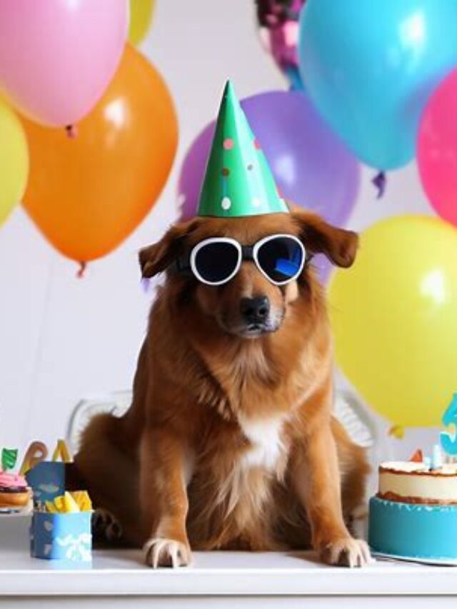 11 Ways to Celebrate National Dog Day (August 26)