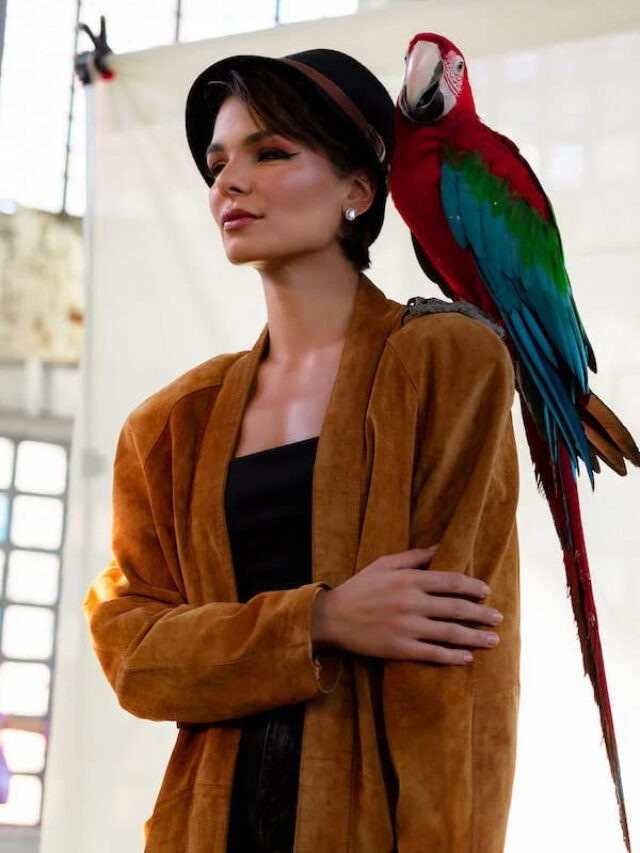 Why getting a bird could be good for your health?