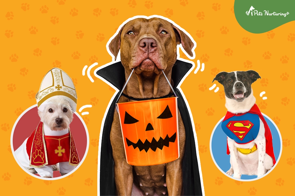 Best Dog Halloween Costumes