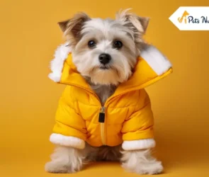 Dog Jacket