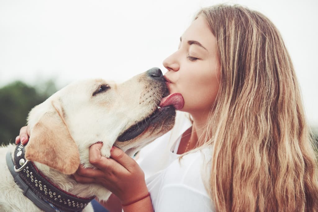 Is It Safe For Dogs To Lick You