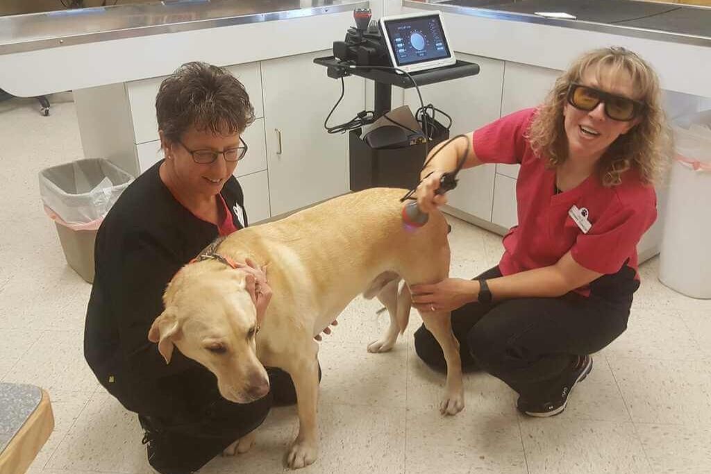 What Risks Are Involved During Laser Therapy?