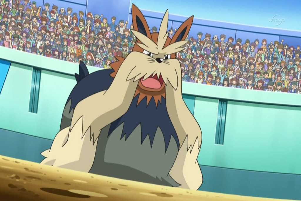 Stoutland dog pockemon
