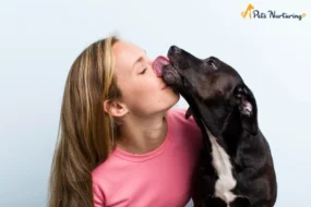 Why do dogs lick you
