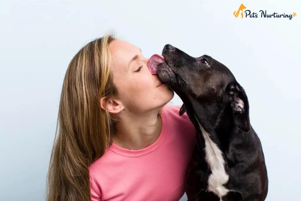 Why do dogs lick you