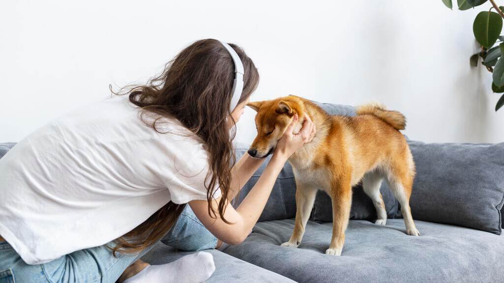 Why Are Dogs Anxious