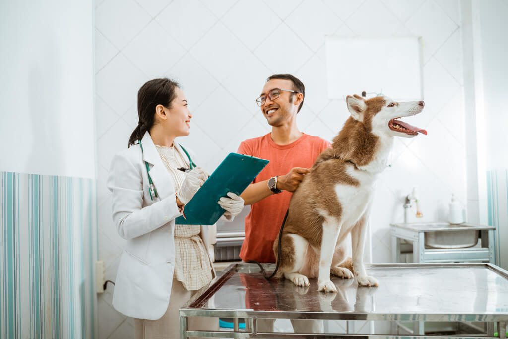 behavioral assesments by vet