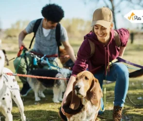 How to Choose the Right Dog Sitter