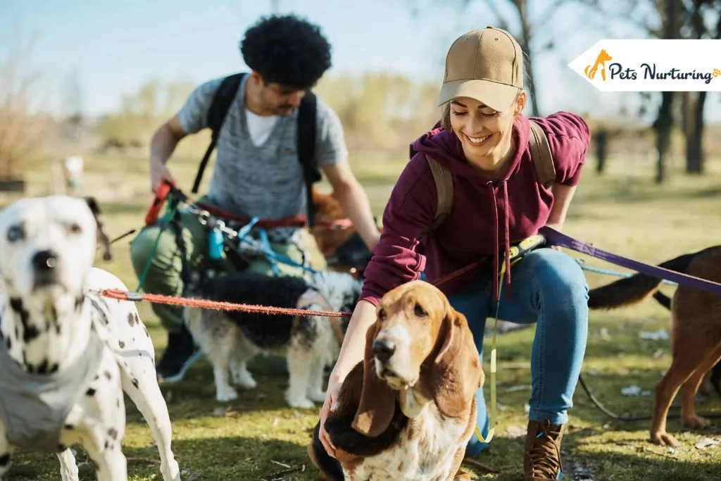 How to Choose the Right Dog Sitter