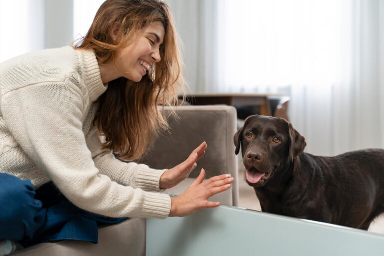 How to Calm your Anxious Dog?