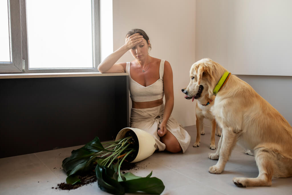 Reasons Why Is Your Dog Anxious