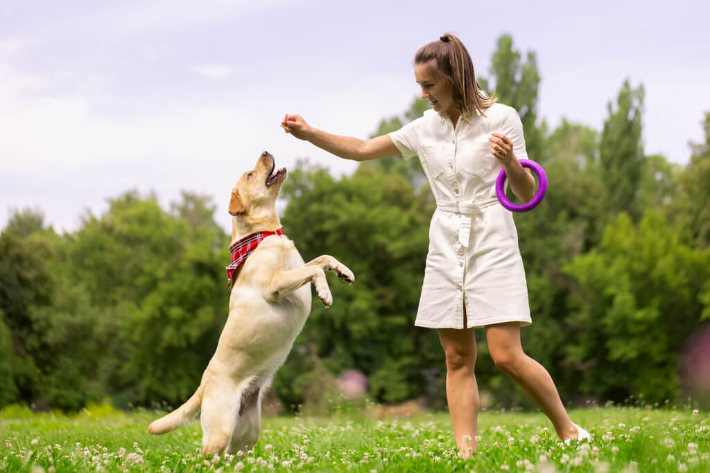 Choosing the right pet sitter