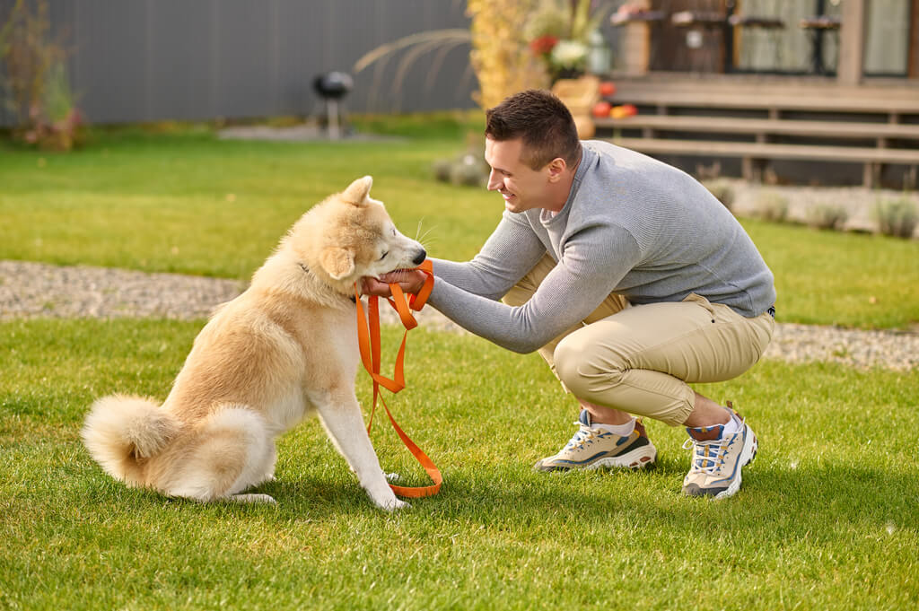  safety of dog 