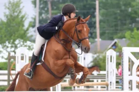 First Horse show