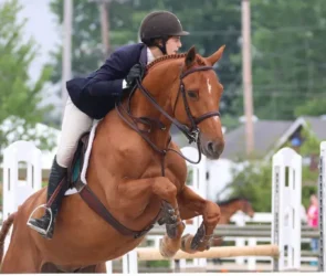 First Horse show