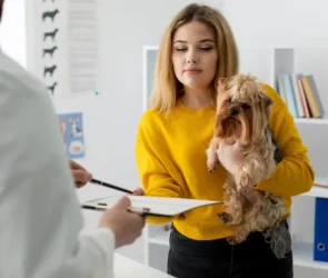 Best Dog Insurance
