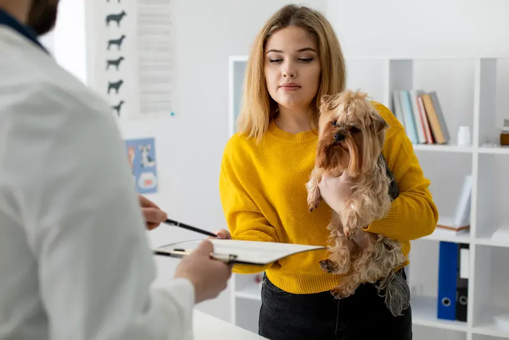 Best Dog Insurance