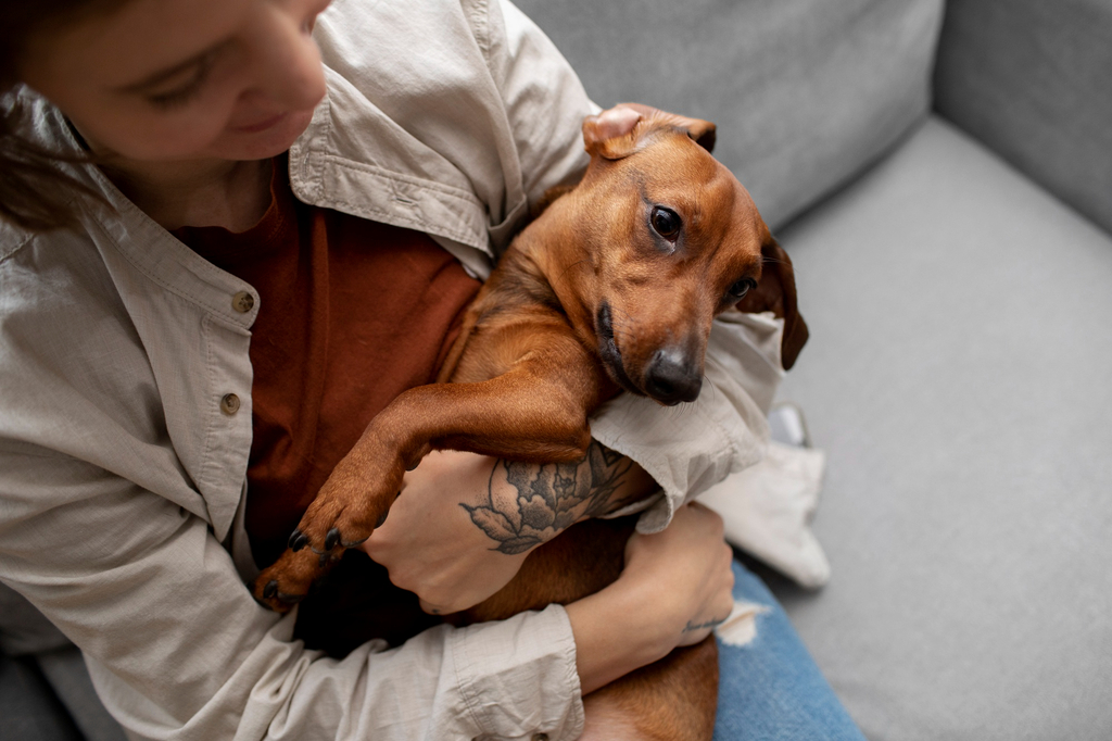 Changes in pet behaviour