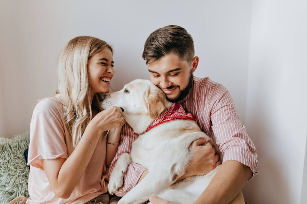 Dog Pet Insurance