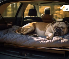 Dog Seat Covers