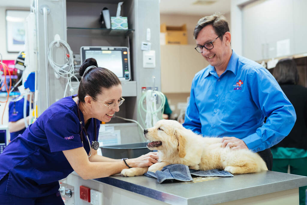 Emergency vet visits