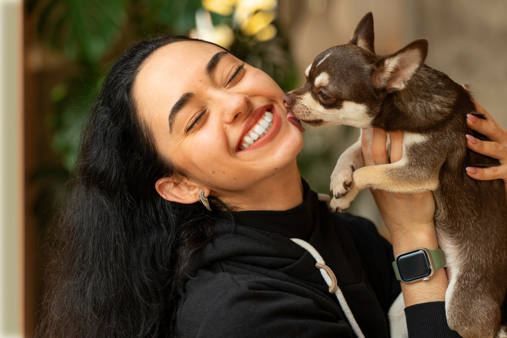 Dog licking the owner